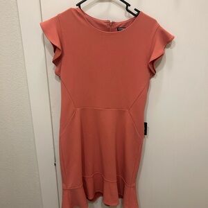Express Pink Dress